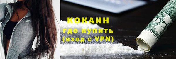 прущие грибы Богданович