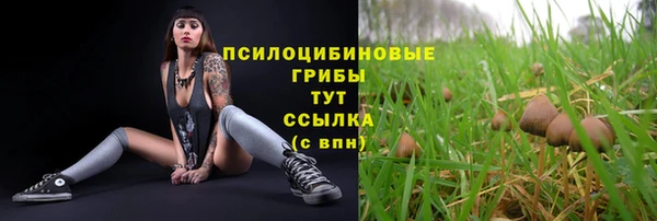 кристаллы Богородск