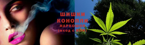 прущие грибы Богданович
