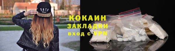 прущие грибы Богданович