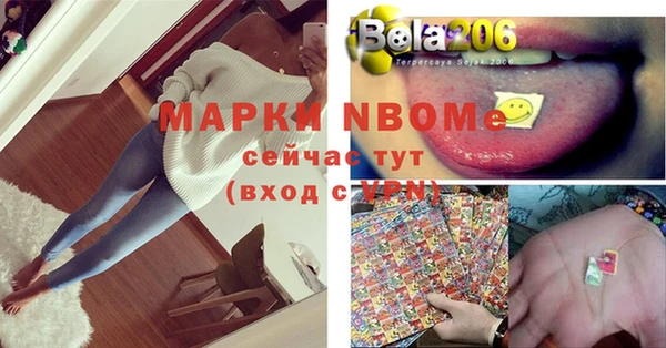 прущие грибы Богданович