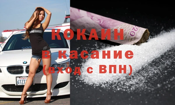 прущие грибы Богданович