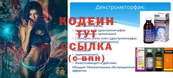 прущие грибы Богданович