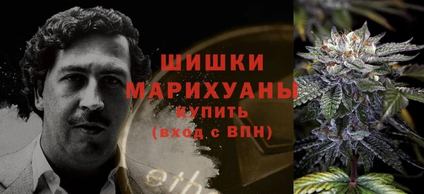 прущие грибы Богданович