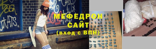 прущие грибы Богданович