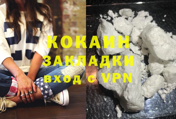 прущие грибы Богданович