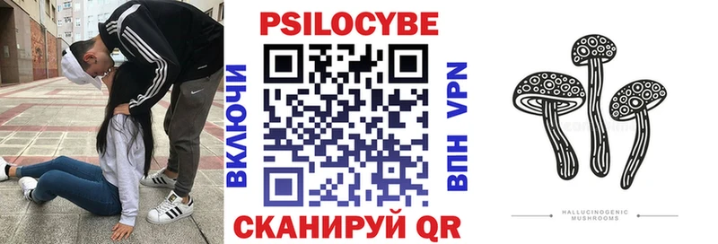 Псилоцибиновые грибы мицелий  omg   Ангарск 